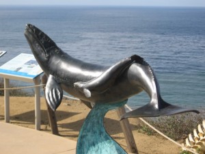 18 Grey whale sculpture near Pacific Ocean overlook.