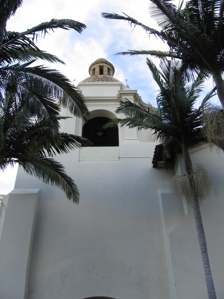 Looking up through palm trees toward the dome.