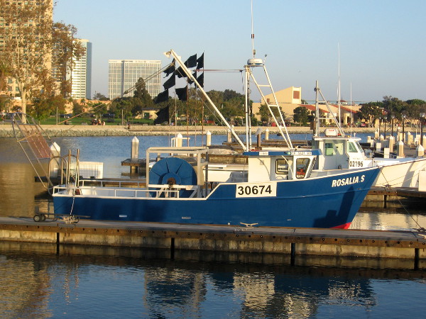 A couple more fishing boats tied up in beautiful San Diego Bay.