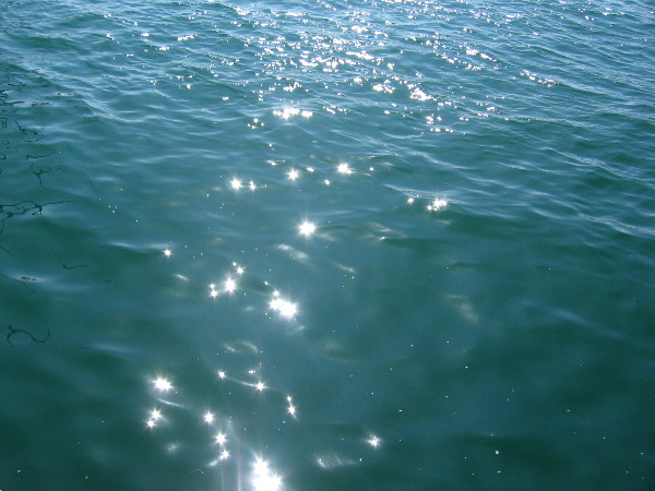 Sprinkles of light dance on the small waves of San Diego Bay.