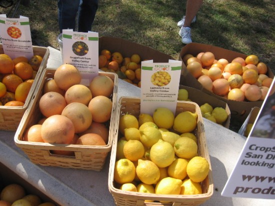 Help save nutritious oranges, lemons, limes, avocados, tangerines...you name it!