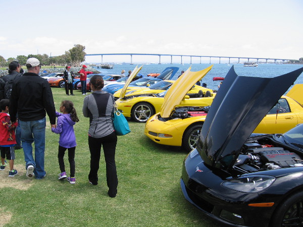 Lots of Corvettes were on the grass of Embarcadero Marina Park North, right next to San Diego Bay.