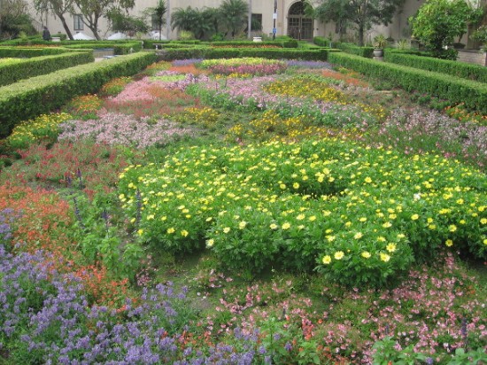 A photo I took this morning of beautiful flower beds in the Alcazar Garden.