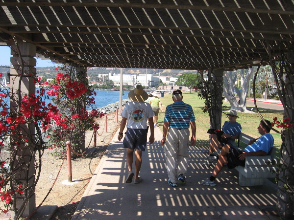 Bougainvillea and lath provide shade on a sunny warm summer morning. Several of these structures are found along the park