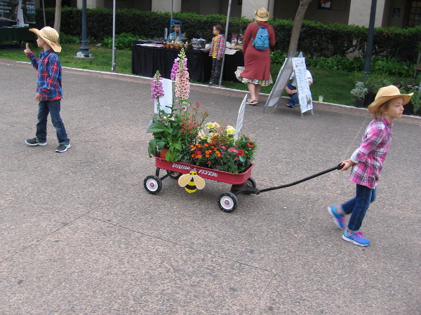 Kid pulls a Radio Flyer during Floral Wagon Parade. The fun family event was part of Balboa Park's big Garden Party!