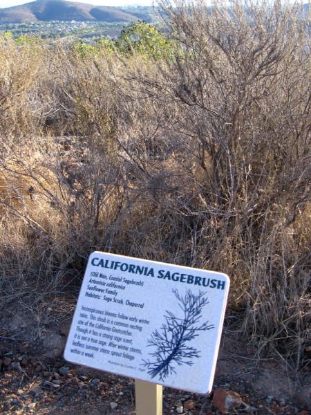 One of many fascinating signs along the trail. The smell of sage adds a pleasant element to one's invigorating journey through fresh open air.