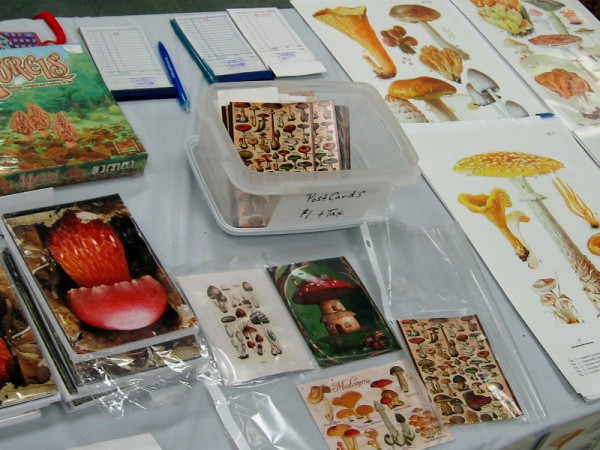 All sorts of arts and crafts, books and fascinating stuff was for sale at the mushroom fair.