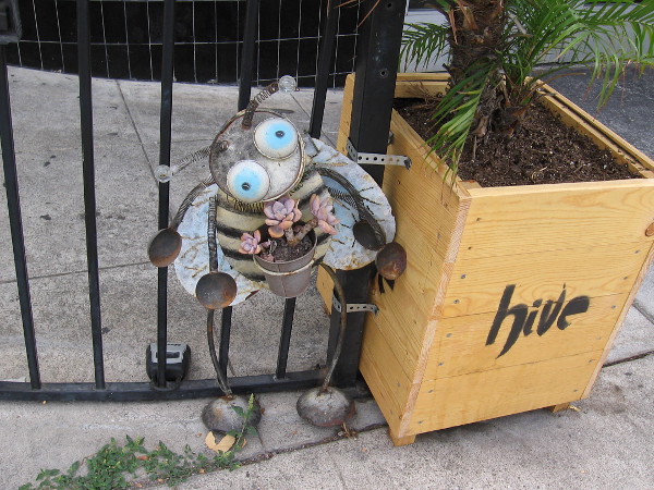 A silly bee made of a potted plant and old metal stuff by the Hive Sushi Lounge on Golden Hill.