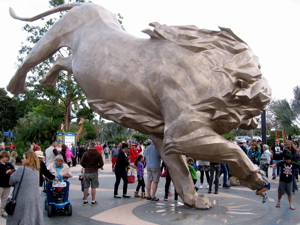 A gigantic golden lion now guards the entrance to the San Diego Zoo. It's Rex!