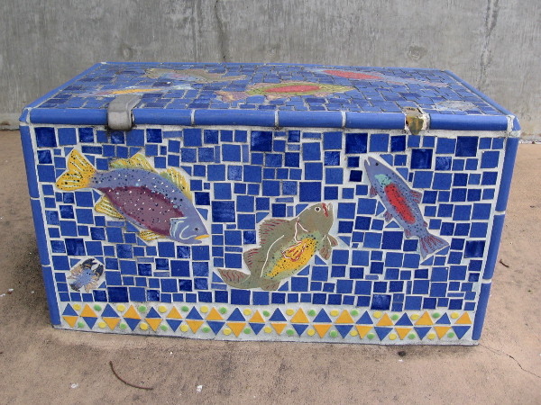 A small school of beautiful fish swimming in blue tiles.