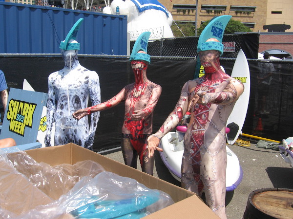 Some tasty bloody zombies that will be fed to Sharkzilla later in the day.