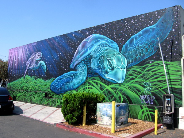 Carly Ealey painted Cosmic Tides in Imperial Beach for Pangeaseed's Sea Walls Murals for Oceans.