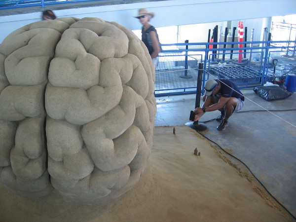 Celebration, or Cerebration, a brainy sand sculpture by World Master Leonardo Ugolini from Italy.