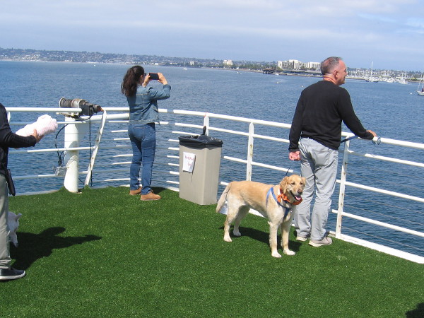 Some dog-friendly turf and great views await the pooch passengers.