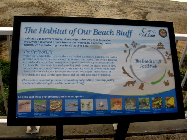 Sign above Carlsbad's beach bluff, describing its animals and plants, unique habitat and the cycle of life.