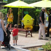 Fun photos at Chula Vista Lemon Festival!