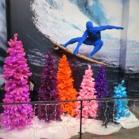 Creativity, surfing, and colorful Christmas trees!